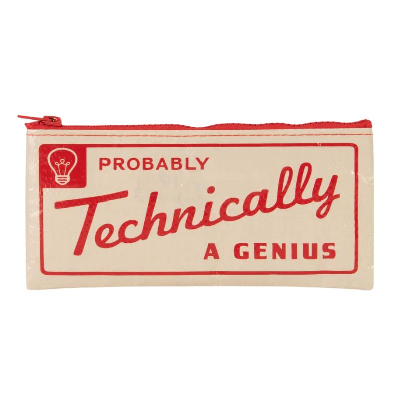 BlueQ pencil case - Probably a Genius.