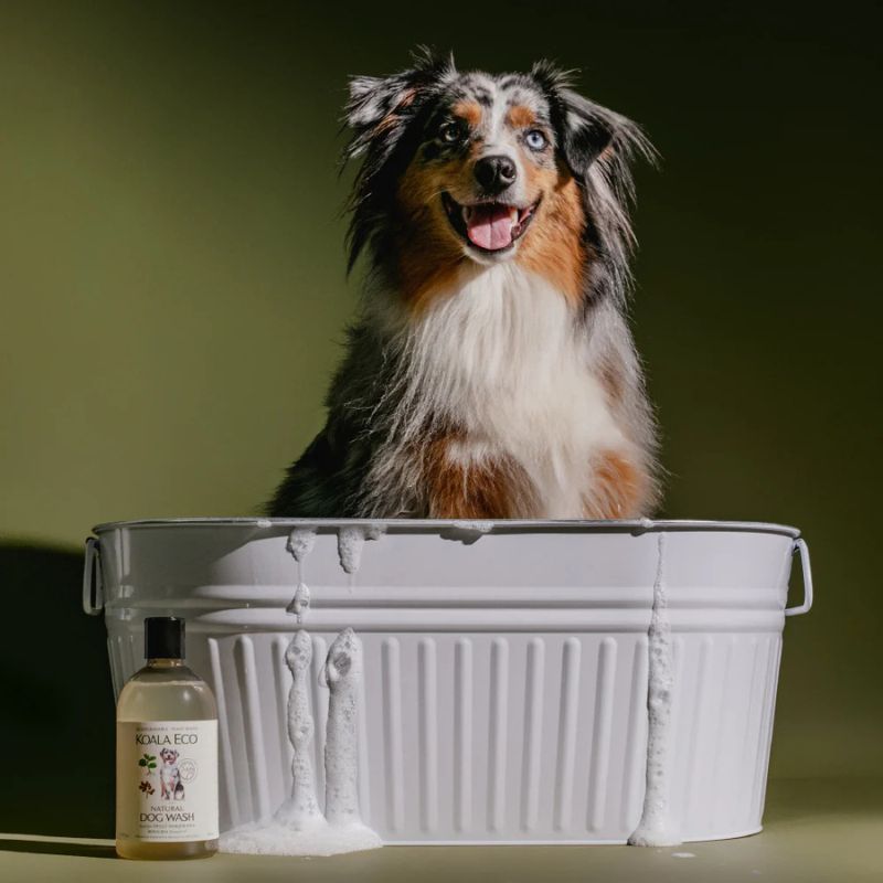 Koala Eco dog wash 500ml - photo of dog in a bath.
