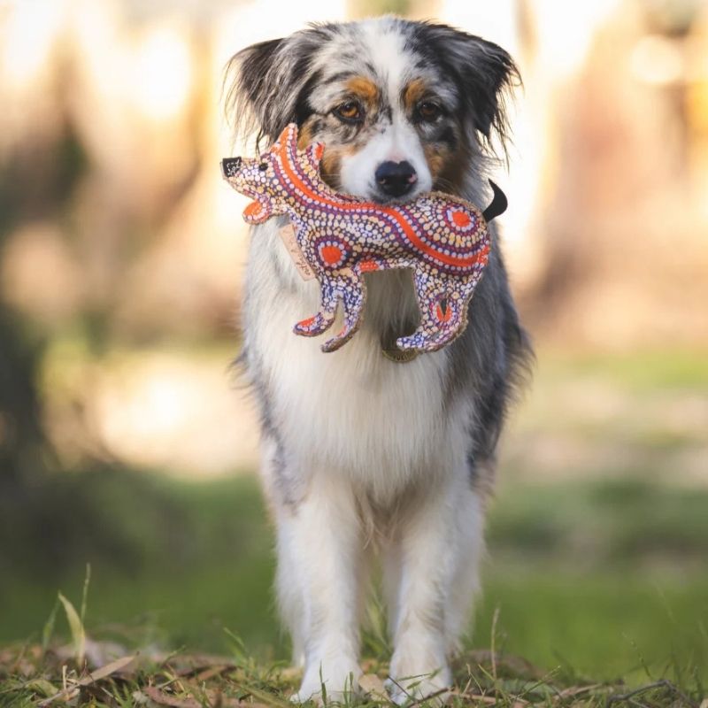 Outback Tails Desert Dog Toy - dog walking with toy in his mouth.