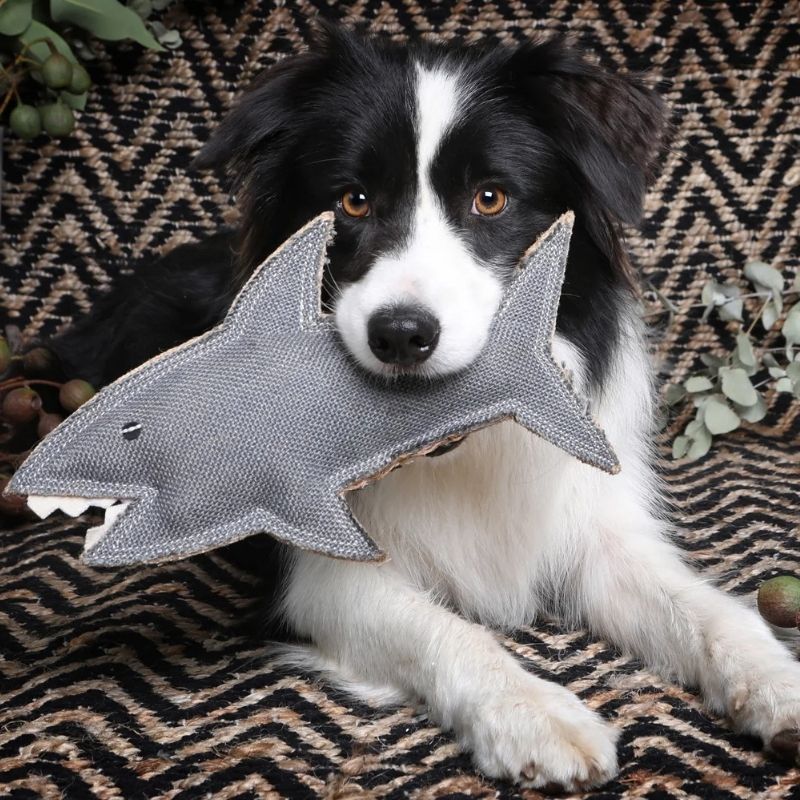Outback Tails Jute Animal Dog Toy - dog with shark toy in his mouth.