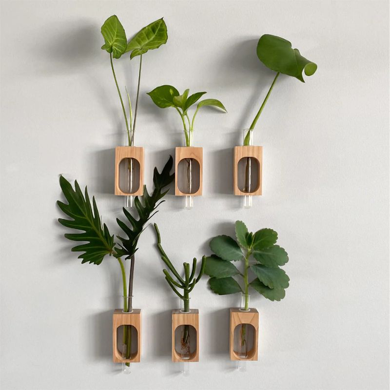 Print and Proper Test Tube plant holder - 9cm pine - 6 hanging on a wall.