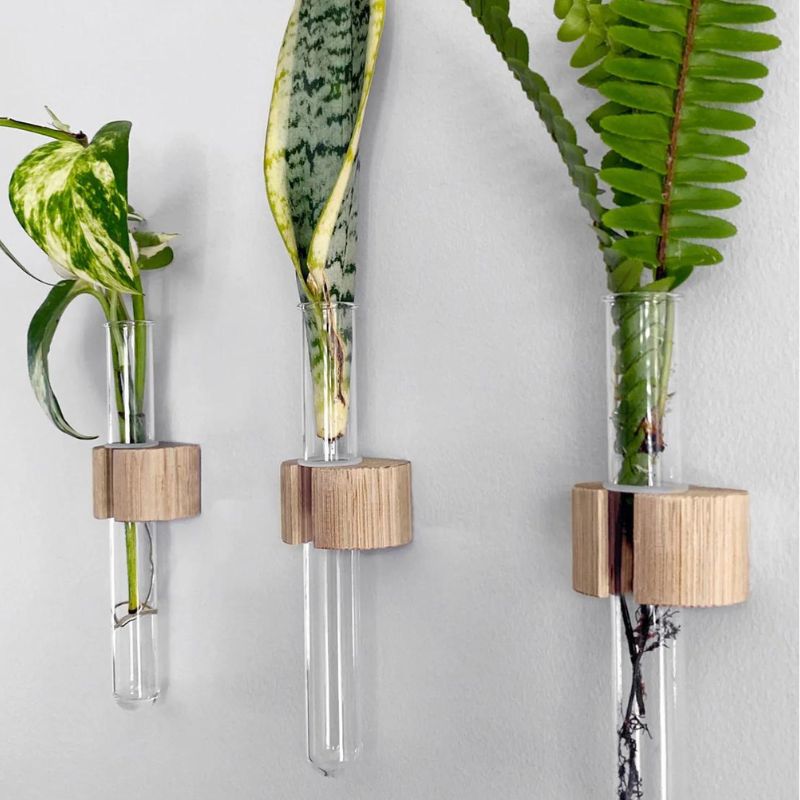 Print and Proper - Test Tube plant holders - oak - showing 3 hanging on a wall.