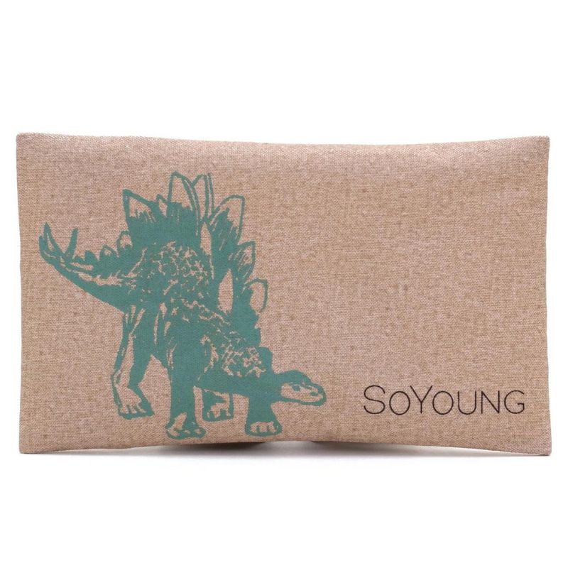 So Young Ice pack - Green Stagosaurus.