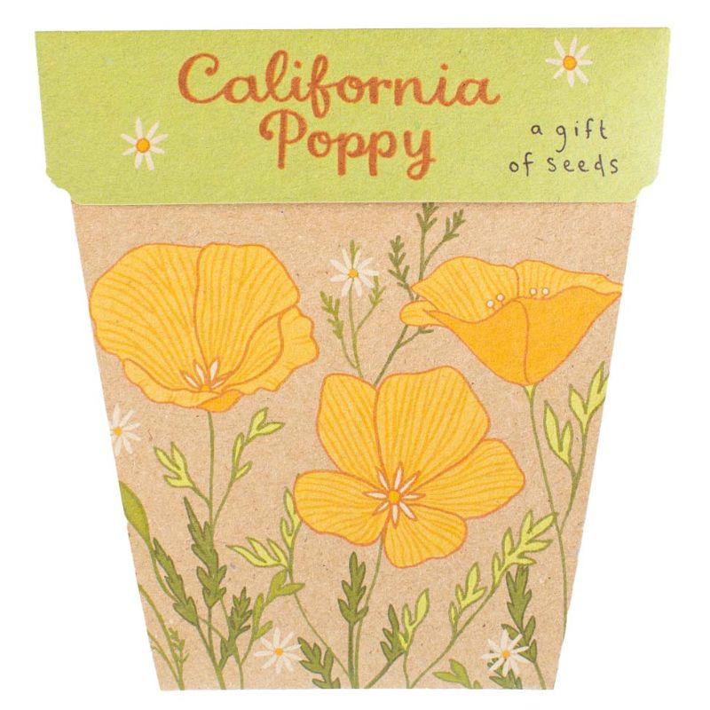 Sow 'n Sow gift of seed greeting cards - California Poppy.