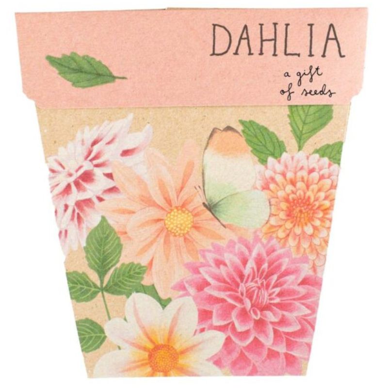 Sow 'n Sow gift of seed greeting cards - Dahlia.