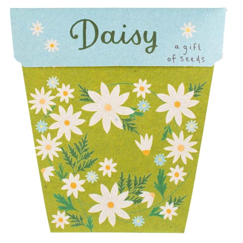 Sow 'n Sow gift of seed greeting cards - Daisy.