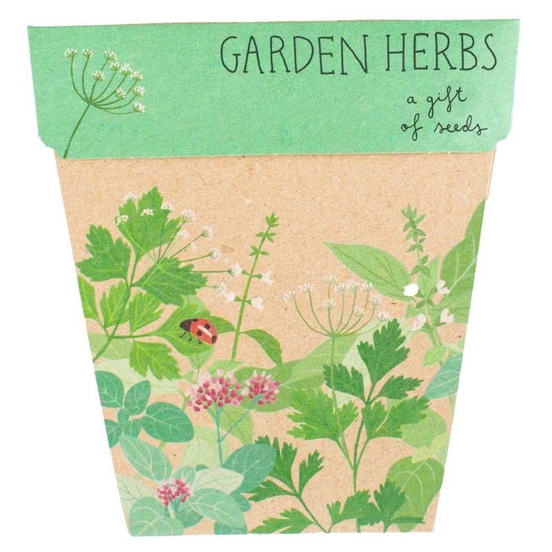 Sow 'n Sow gift of seed greeting cards - Garden Herbs.