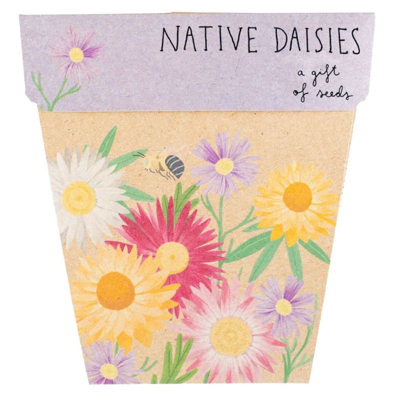 Sow 'n Sow gift of seed greeting cards - Native Daisies.