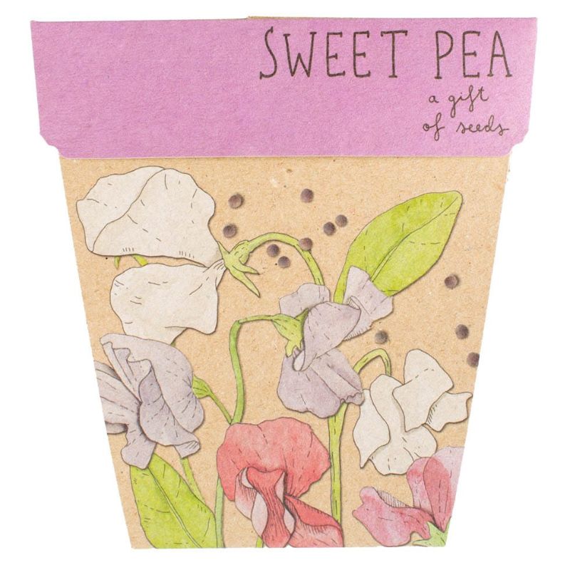 Sow 'n Sow gift of seed greeting cards - Sweet Pea.