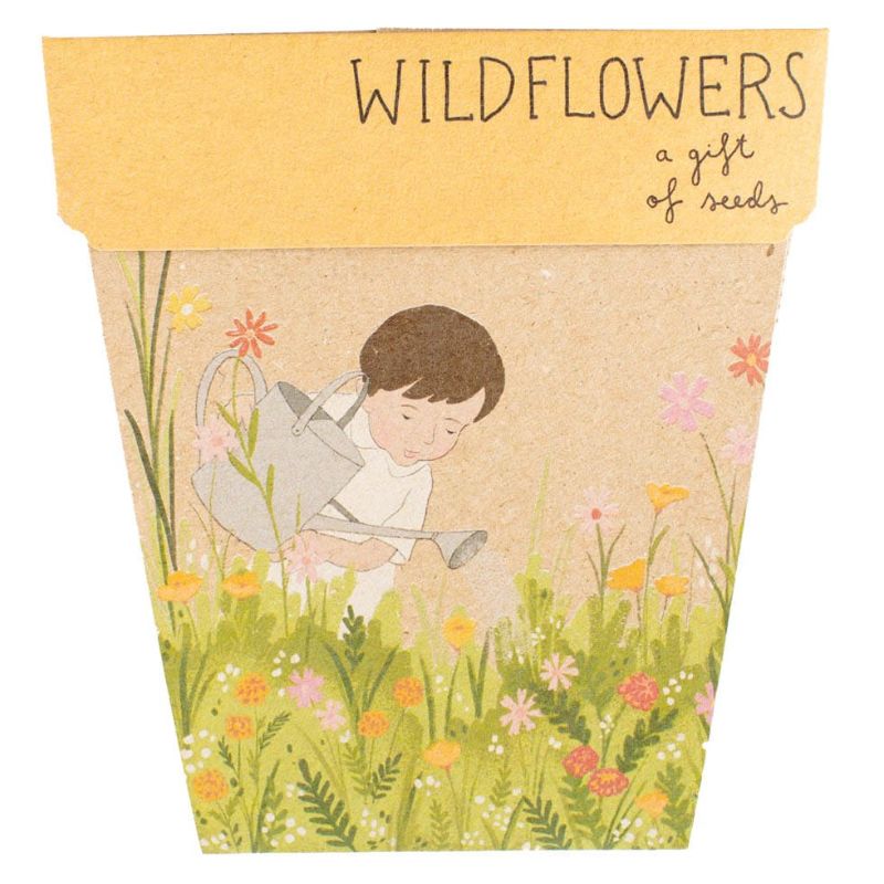 Sow 'n Sow gift of seed greeting cards - Wildflowers.
