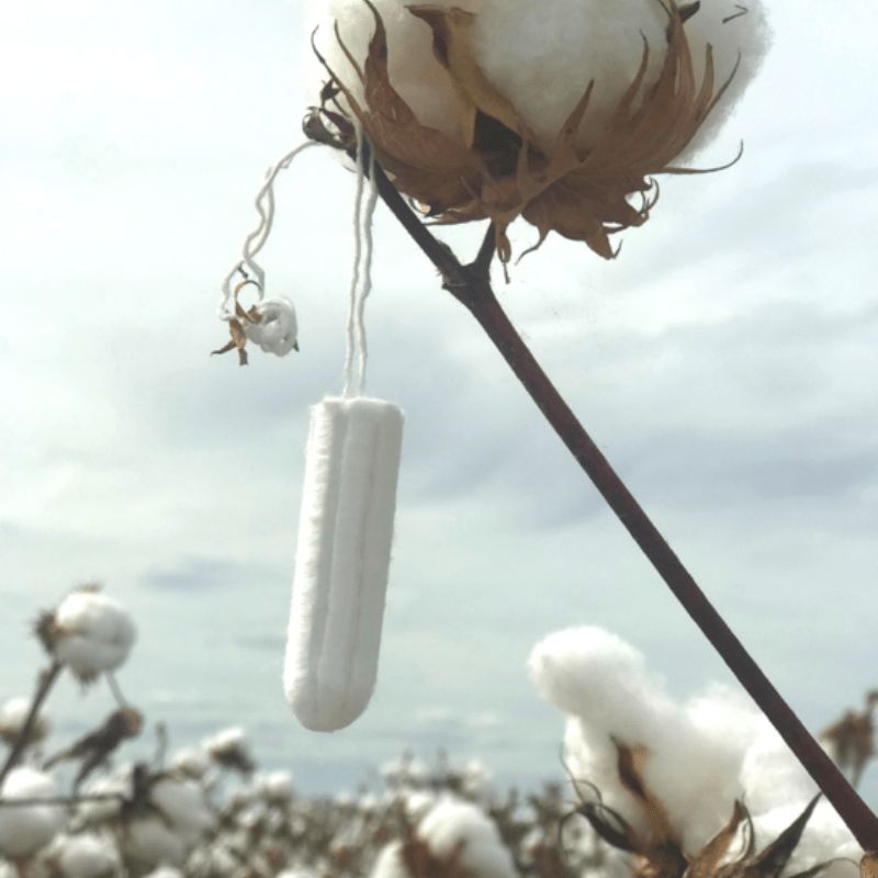 Down Under Cotton Tampons - showing hanging from a cotton branch.